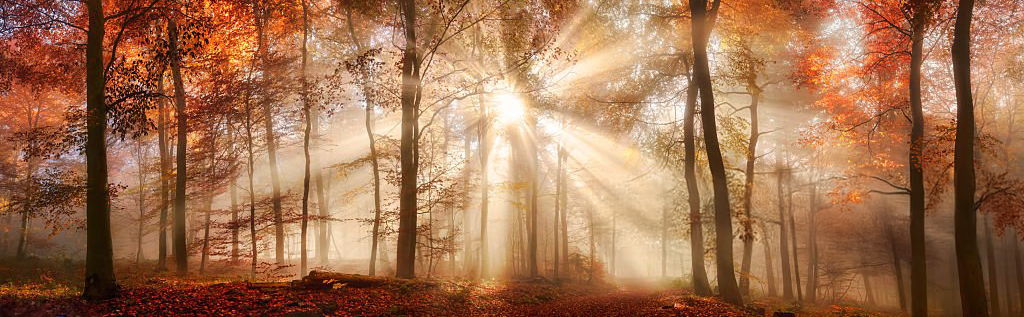 Camera Settings vs. Creative Photography